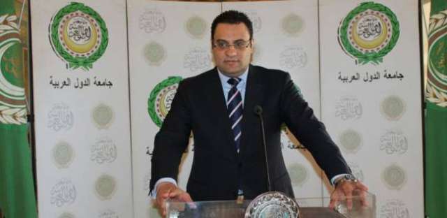 محمود عفيفي، المتحدث الرسمي باسم الأمين العام للجامعة العربية