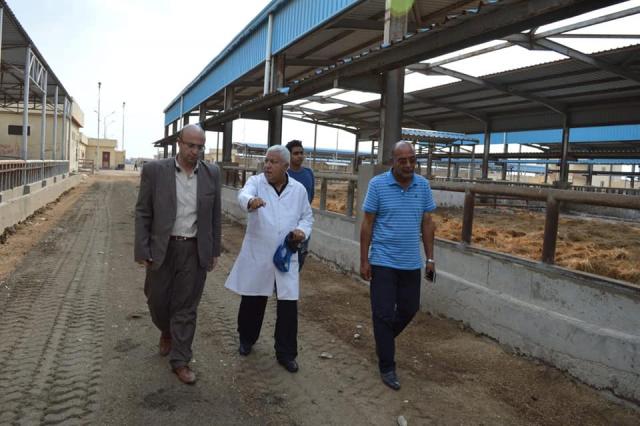 نائب محافظ بورسعيد يتفقد محطة تسمين الماشية