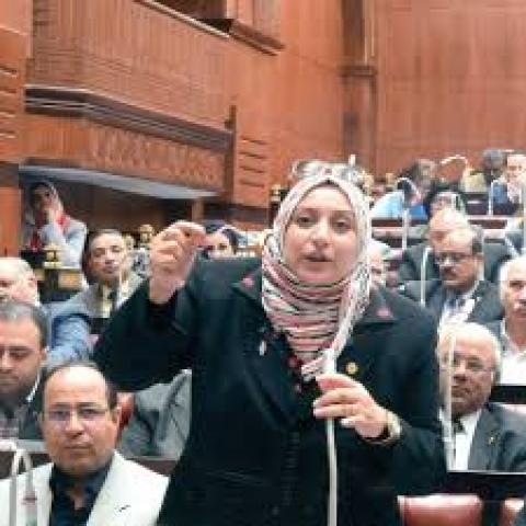 سحر عتمان، عضو مجلس النواب