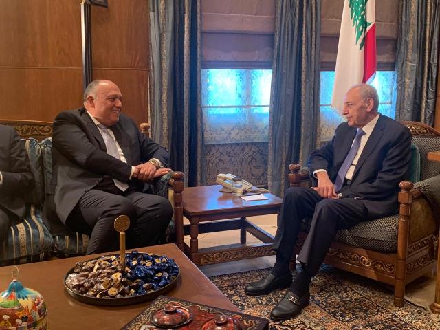 وزير الخارجية سامح شكري مع رئيس النواب اللبناني