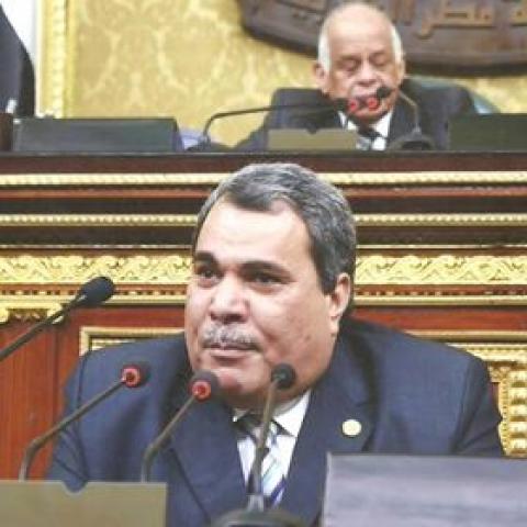 محمد سعيد الدويك، عضو مجلس النواب 