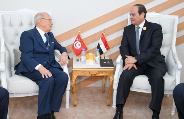 السيسي ونظيره التونسي