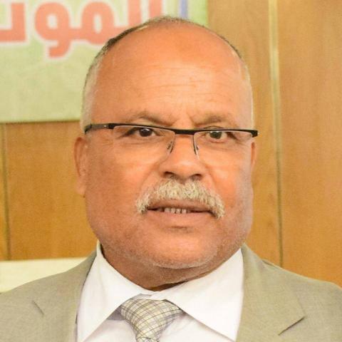 النائب أحمد أبو خليل عضو مجلس النواب