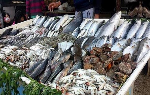  أسعار الأسماك اليوم