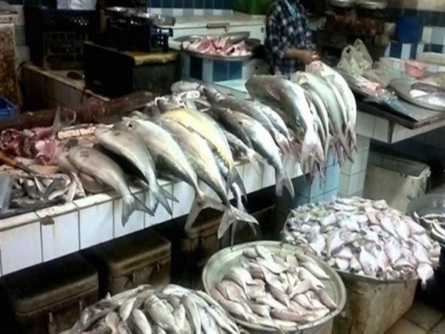  أسعار الاسماك بسوق العبور
