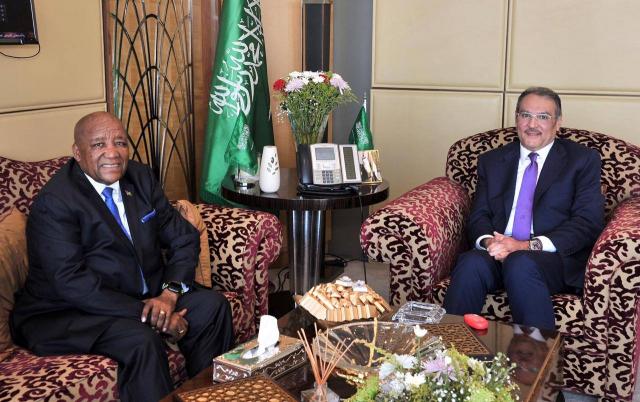 سفيرخادم الحرمين الشريفين لدى مصر يلتقي سفير ناميبيا