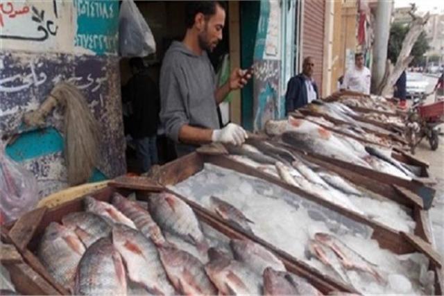  أسعار الأسماك بالاسواق