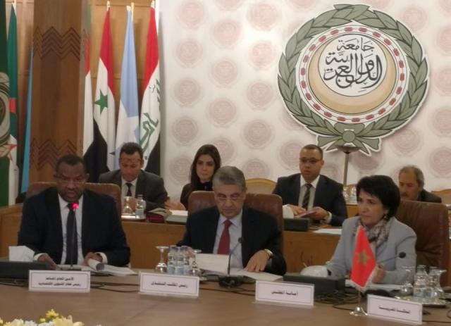 المجلس الوزارى العربي للكهرباء