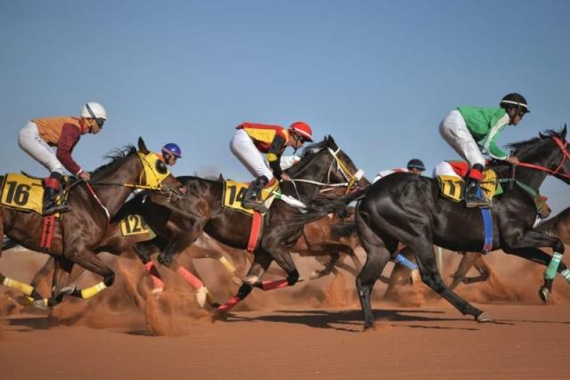 السعودية تنظم البطولة الأغلى عالمياً في سباقات الخيل