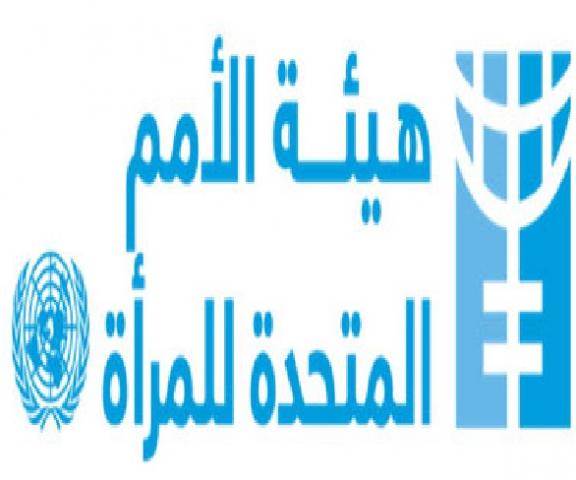 هيئة الأمم المتحدة للمرأة فى مصر