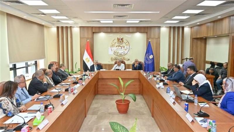 اجتماع اللجنة الدائمة لصياغة مسودة الدستور الدوائي المصري