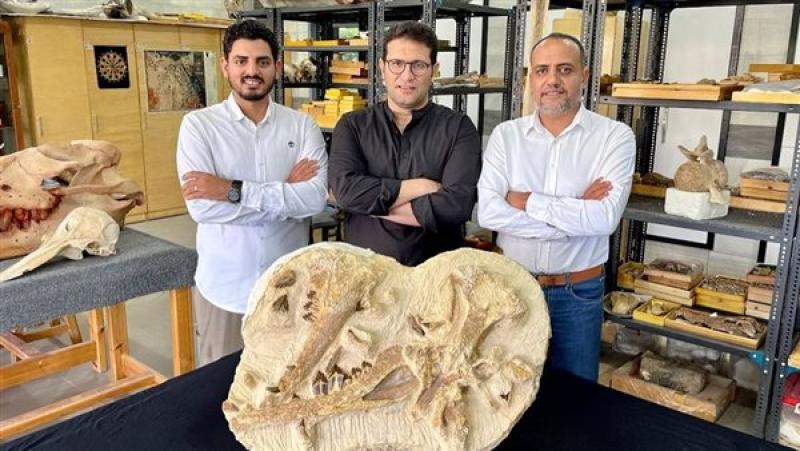 حوت عاش في مصر قبل 41 مليون سنة