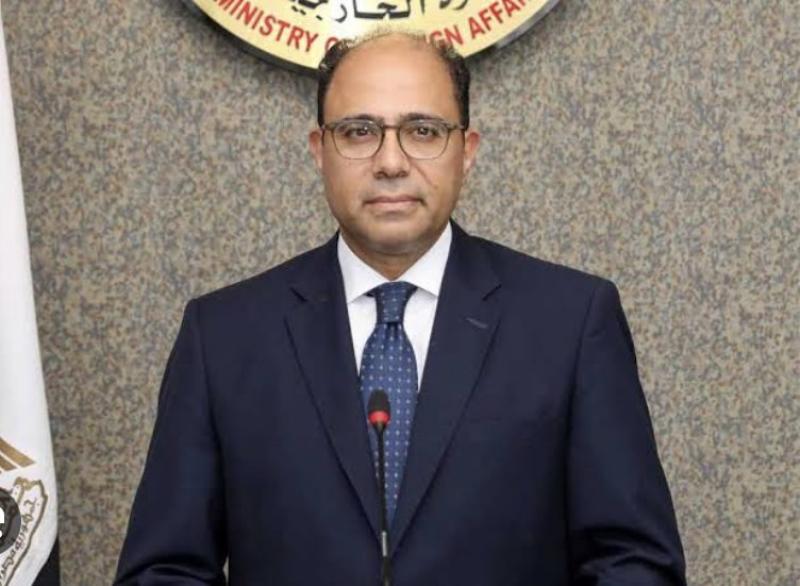 السفير أحمد أبو زيد