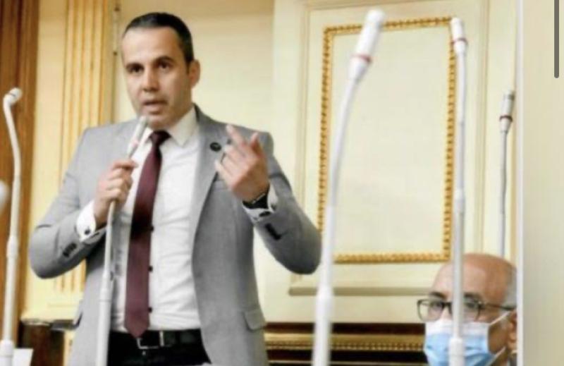 النائب محمد رضا البنا، عضو لجنة حقوق الإنسان بمجلس النواب